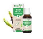 Rosier sauvage (Rosa canina L.) j. p., BIO, 30&nbsp;ml